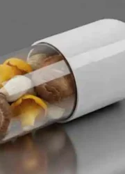 producción de hongos con biotecnología